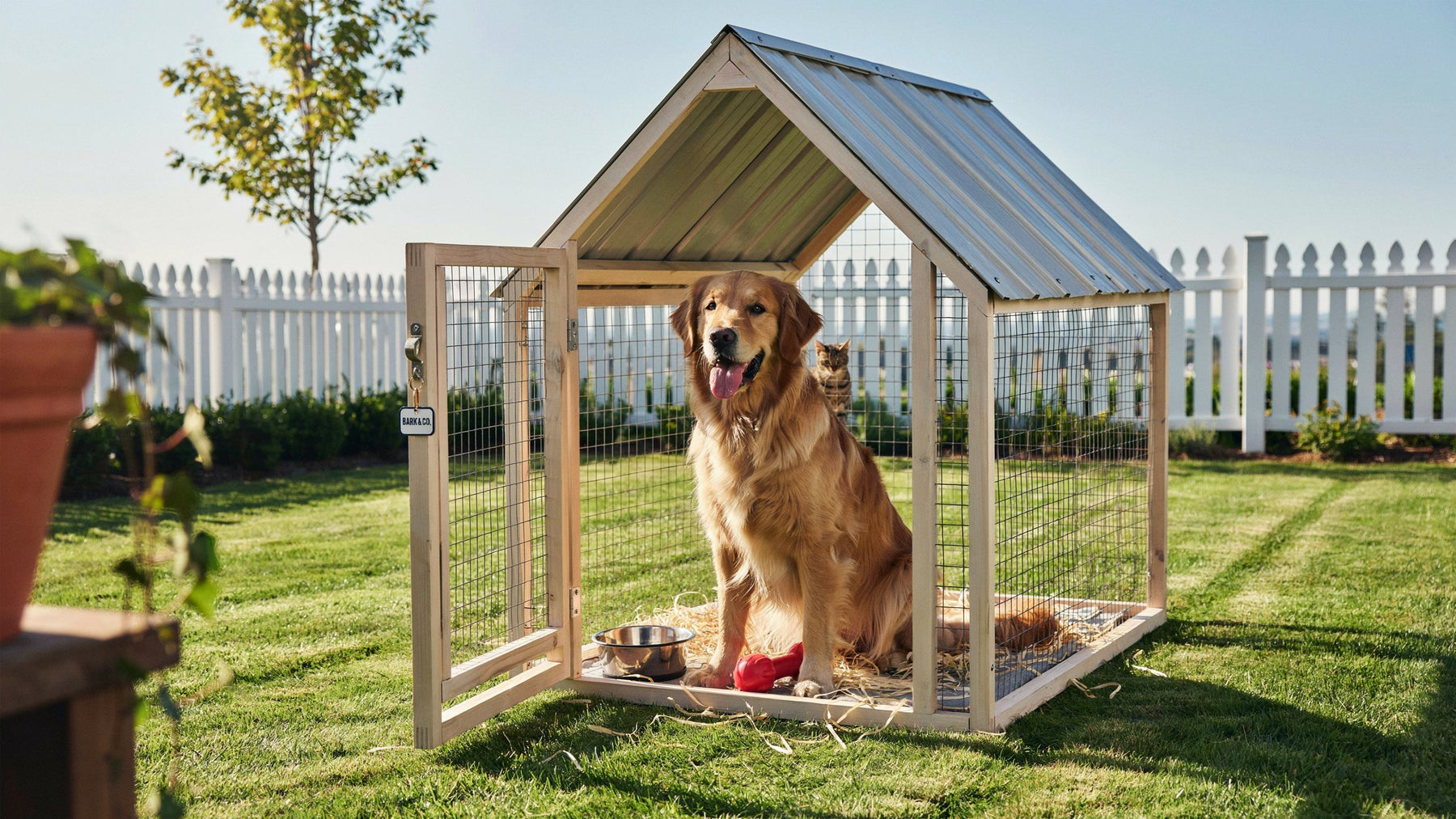 Happy golden retriever sitting safely inside a spacious outdoor dog kennel