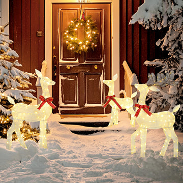 Holiday & Seasonal