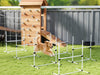 Dog Agility