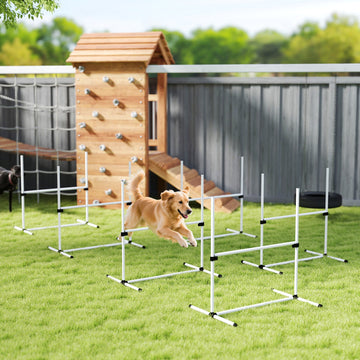 Dog Agility Equipment
