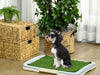Dog Beds