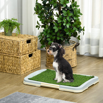 Elevated Dog Beds