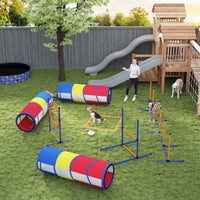 Dog Agility Training Equipment