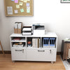 File Cabinet, 2 Drawer Mobile Lateral Filing Cabinet Printer Stand with Lock, Charging Station, Hanging Bars, White