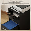 Small Filing Cabinet with 2 Drawers, Lockable Home Office Storage Cabinets on Wheels for A4, Letter Size, Black