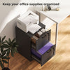 Vertical Filing Cabinet with 2 Drawers, Lock, File Cabinet for Home Office, A4 and Letter Size Files, Black
