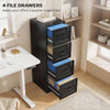 4 Drawer File Cabinet with Lock, Vertical Filing Cabinet with Adjustable Hanging Bars for A4 and Letter Size, Black