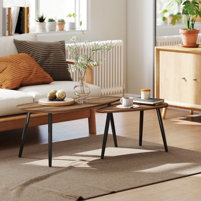 2 Pieces Coffee Table Set for Living Room, Industrial Nest of Tables with Steel Legs, Brown