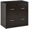 2 Drawer File Cabinet with Lock, Office Filing Cabinet, Hanging Bar for Letter Size, Home Office, Espresso