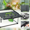Glass Reptile Terrarium with Thermometer, Water Basin, Full View Visually for Lizards, Horned Frogs, Snakes, Spiders