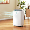 14000 BTU Portable Air Conditioner, AC Unit with Cool, Dehumidifier, Fan, 700 Sq. ft, 24H Timer On Off, Window Kit