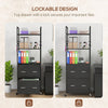 Mobile Filing Cabinet 2 Drawer File Cabinet with Key Adjustable Hanging Bar for Letter A4 and Legal Size Black