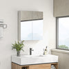 Wall Mounted Mirror Cabinet, Bathroom Medicine Cabinet with Mirror, 2 Doors, Adjustable Shelf and Soft Close Mechanism