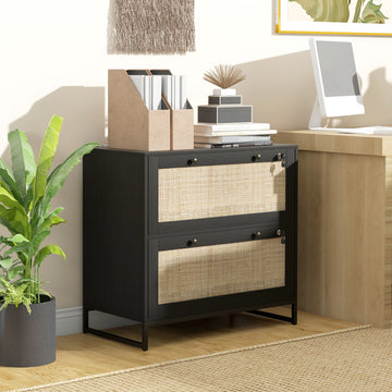 2-Drawer Filing Cabinet with Lock, Rattan File Cabinet with Adjustable Hanging Bar, Black