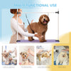Adjustable Dog Grooming Table with 2 Safety Slings, Storage Basket, Purple