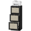 3 Drawer Filing Cabinet with Lock, Boho File Cabinet for A4 Letter Size Files with Decorative Rattan Accents, Black
