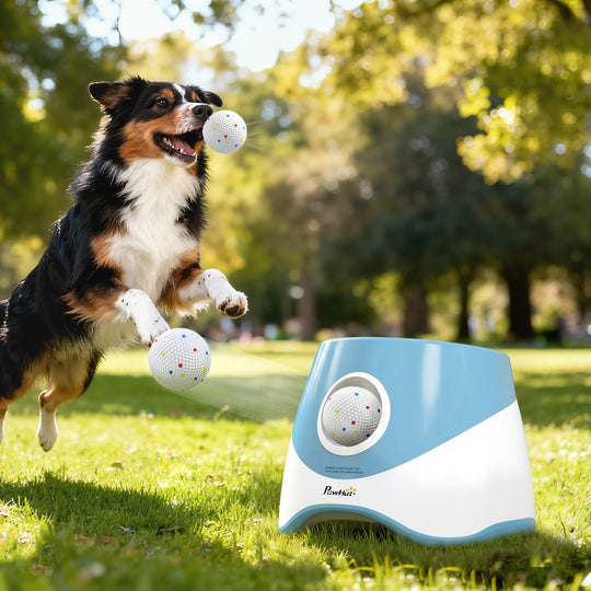 Automatic Dog Ball Launcher with 5 ETPU Balls 2.3