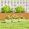 3 Pack Self Watering Flower Pots, 10.5 Inch Planter Box with Water Level Indicator for Vegetables, Succulents Plants