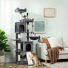 Cat Tree, 70