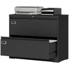 Lateral Filing Cabinet with 2 Drawers, Lockable Steel File Cabinet for A4/Letter/Legal Size Files, Black