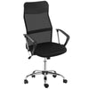 Ergonomic Mesh Office Chair, High Back Computer Desk Chair with Adjustable Height, Tilt Function, Armrest, 360° Swivel Office, Black