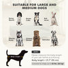 Elevated Dog Sofa Bed, Cat Couch with Cushion, Washable Cover, Wooden Legs, for Medium & Large Dogs, Dark Grey
