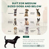 Pet Sofa Dog Couch for Small to Medium Sized Dogs with Soft Cushion, Removable Washable Cover, Velvet Touch, Grey