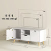 TV Stand with Storage for up to 50