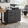 Filing Cabinet with File Drawer File Cabinet with Adjustable Shelf and 3 Drawers Black