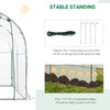 Dome Tunnel Greenhouse Plant Shed with Roll Up Door, 6.6' x 8.2' x 6.6', Transparent