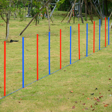 Dog Agility Equipment Set, Portable Dog Agility training equipment for Outdoor Play Run