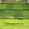 Mini Greenhouse with 4 Wire Shelves, Portable Tomato Greenhouse with Roll Up Door, 39.4