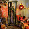Animatronics Hanging Skeleton Reaper in Cage, Voice-Activated Prop with Flashing Eyes, Easy Setup Indoor