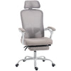 Ergonomic Office Chair, Mesh Reclining Desk Chair with Adjustable Lumbar Support, Headrest, Grey