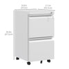 Mobile Vertical Filing Cabinet with Lock, 2-Drawer Steel File Cabinet with Adjustable Hanging Bar for Letter, A4 and Legal Size, Black