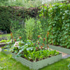 6' x 3' x 1' Raised Garden Bed with 2 Trellis Tomato Cages, Steel Frame Elevated Planter Box, Light Green