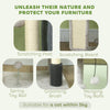 41 Inch Cat Tree with Scratching Posts, Cat Bed, Condo, Grooming Brush, Jumping Platforms, Toy Balls, Anti-tip Kit