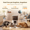 Automatic Cat Feeder with App Control Smart Cat Food Dispenser 10s Voice Recorder 6L