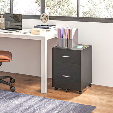 Mobile Filing Cabinet, Vertical File Cabinet with 2 Drawers, Wheels, for Letter or A4 File, Black