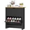 Shoe Storage Cabinet with 2 Flip Drawers and Adjustable Shelves for 8–12 Pairs of Shoes, Black