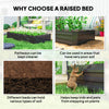 6' x 3' x 1' Raised Garden Bed with 2 Trellis Tomato Cages, Steel Frame Elevated Planter Box, Black
