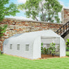 20x10x7ft Walk-in Steeple Greenhouse Outdoor Backyard Plant Seed Growth Tunnel Shed Warm House with 2 Anchor Way