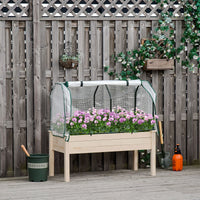 Garden & Planters