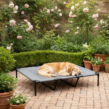 Elevated Dog Bed, Raised Dog Cot for XL Sized Dogs, Indoor & Outdoor, 48