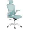 Ergonomic Office Chair, Mesh Desk Chair with Adjustable Headrest, Lumbar Support and Height, Tilt Function, Light Green