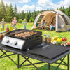 2 Burner Liquefied Gas Grill, Portable Tabletop BBQ Grill, for Camping, Picnic, Silver