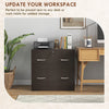 2 Drawer File Cabinet with Lock, Office Filing Cabinet, Hanging Bar for Letter Size, Home Office, Espresso