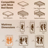10 Inch Full Mattress in a Box, Pressure Relief & Lumbar Support, CertiPUR-US Certified, Medium Firm