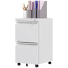 Mobile Vertical Filing Cabinet with Lock, 2-Drawer Steel File Cabinet with Adjustable Hanging Bar for Letter, A4 and Legal Size, Black