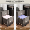 Mobile Filing Cabinet, Vertical File Cabinet with 2 Drawers, Wheels, for Letter or A4 File, Grey